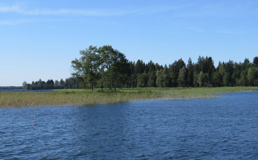 16_Soncelio sala. S.Kvasinsko n (1).jpg